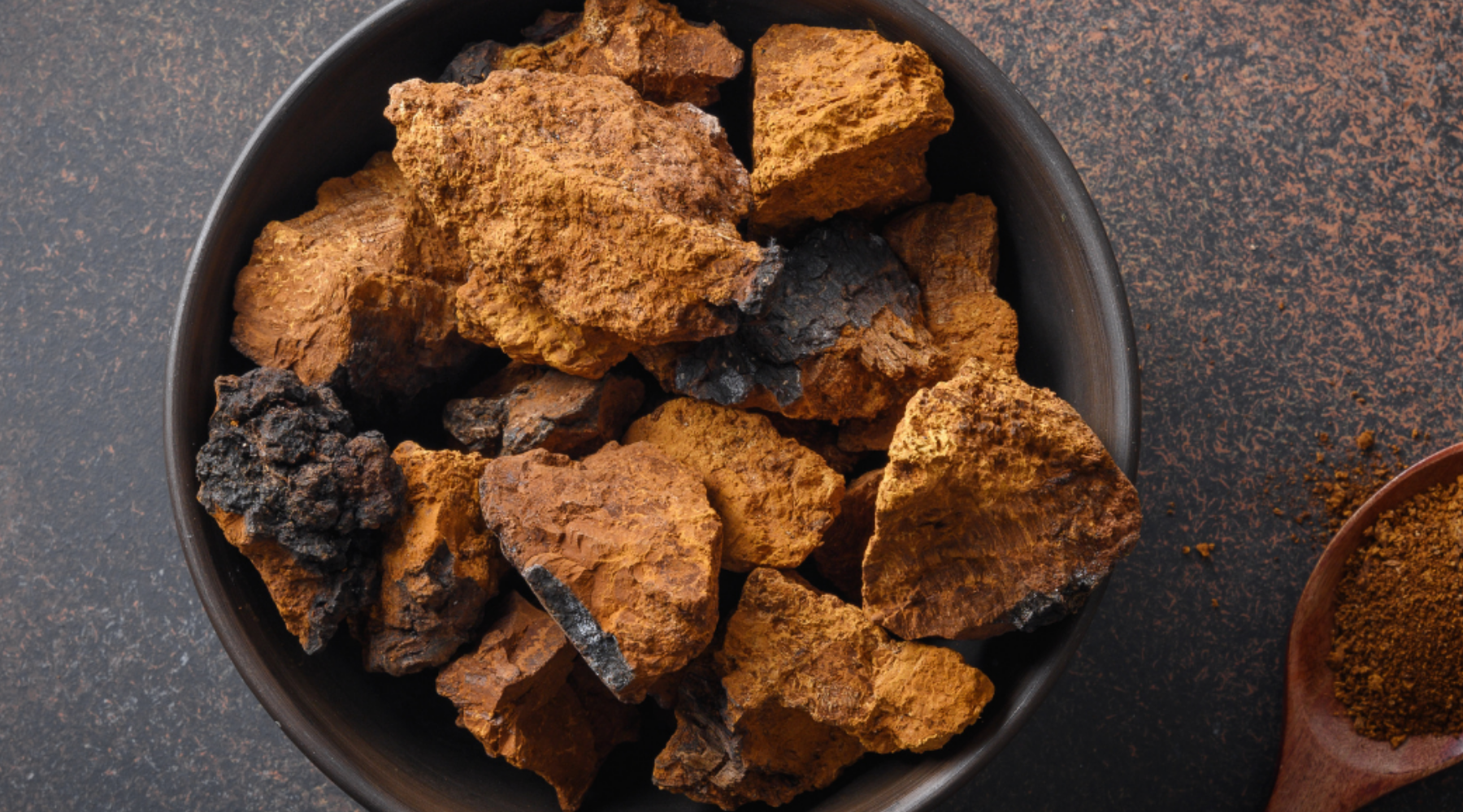 10 Health Benefits of Chaga Mushrooms
